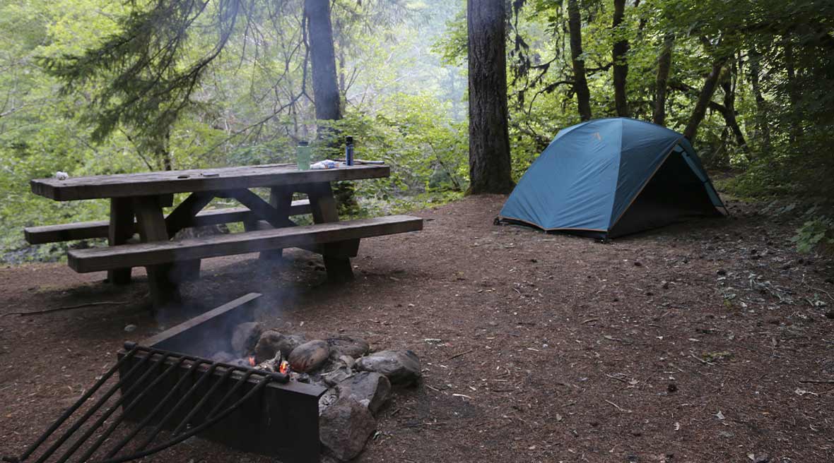 Blue tent in a clearing with pin trees and bushes behind it, with a wooden picnic table to the left and a campfire in the foreground
